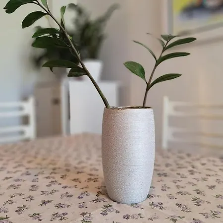 Apartman Ivo Apartment